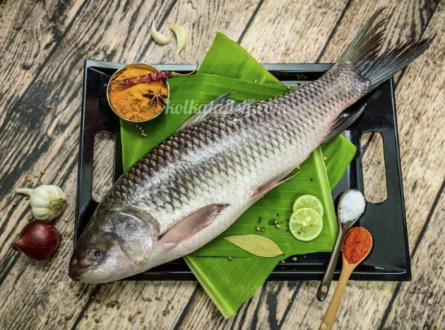 Rui Fish